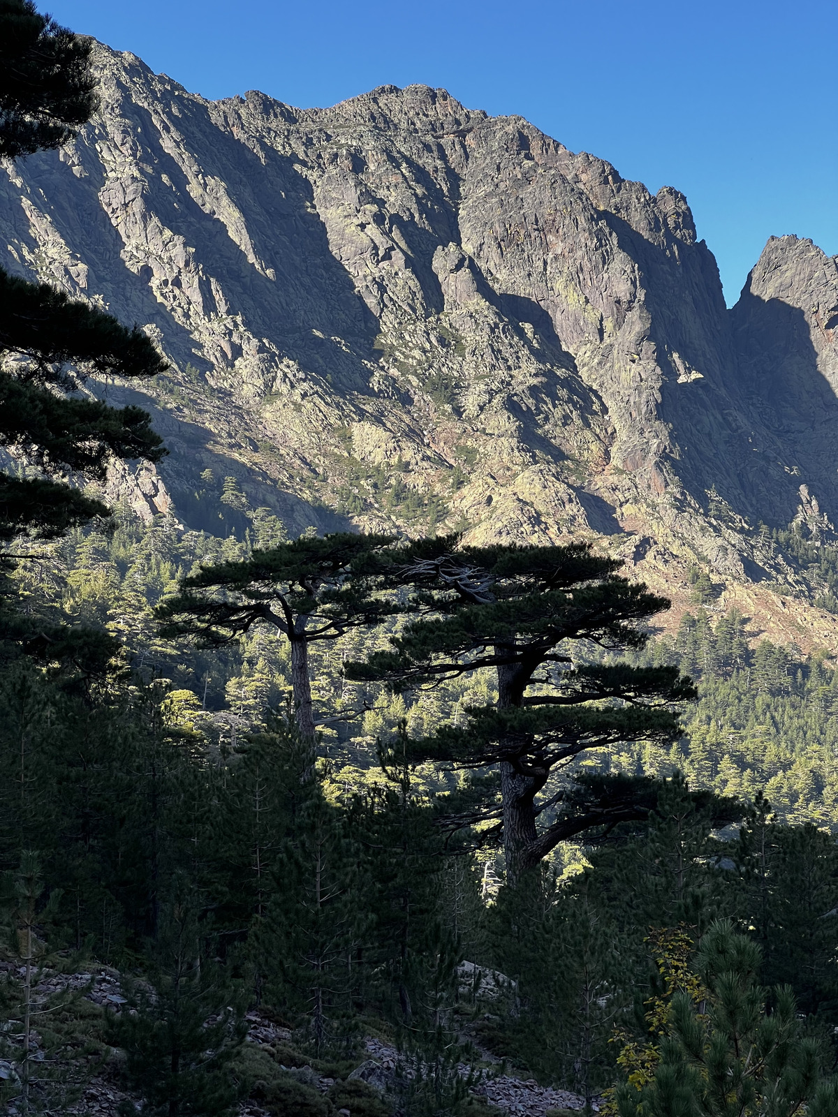 รูปถ่าย ฝรั่งเศส(France) คอร์สิคา(Corsica) ภูเขามอนเตชินโต(Monte Cinto) 2023-10 197