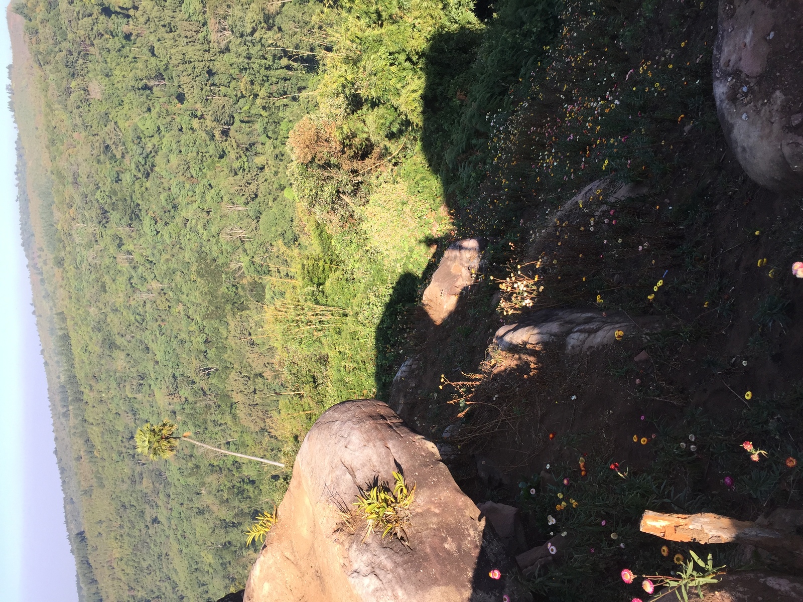 รูปถ่าย ไทย(Thailand) อุทยานแห่งชาติภูหินร่องกล้า(Phu Hin Rong Kla National Park) 2014-12 35