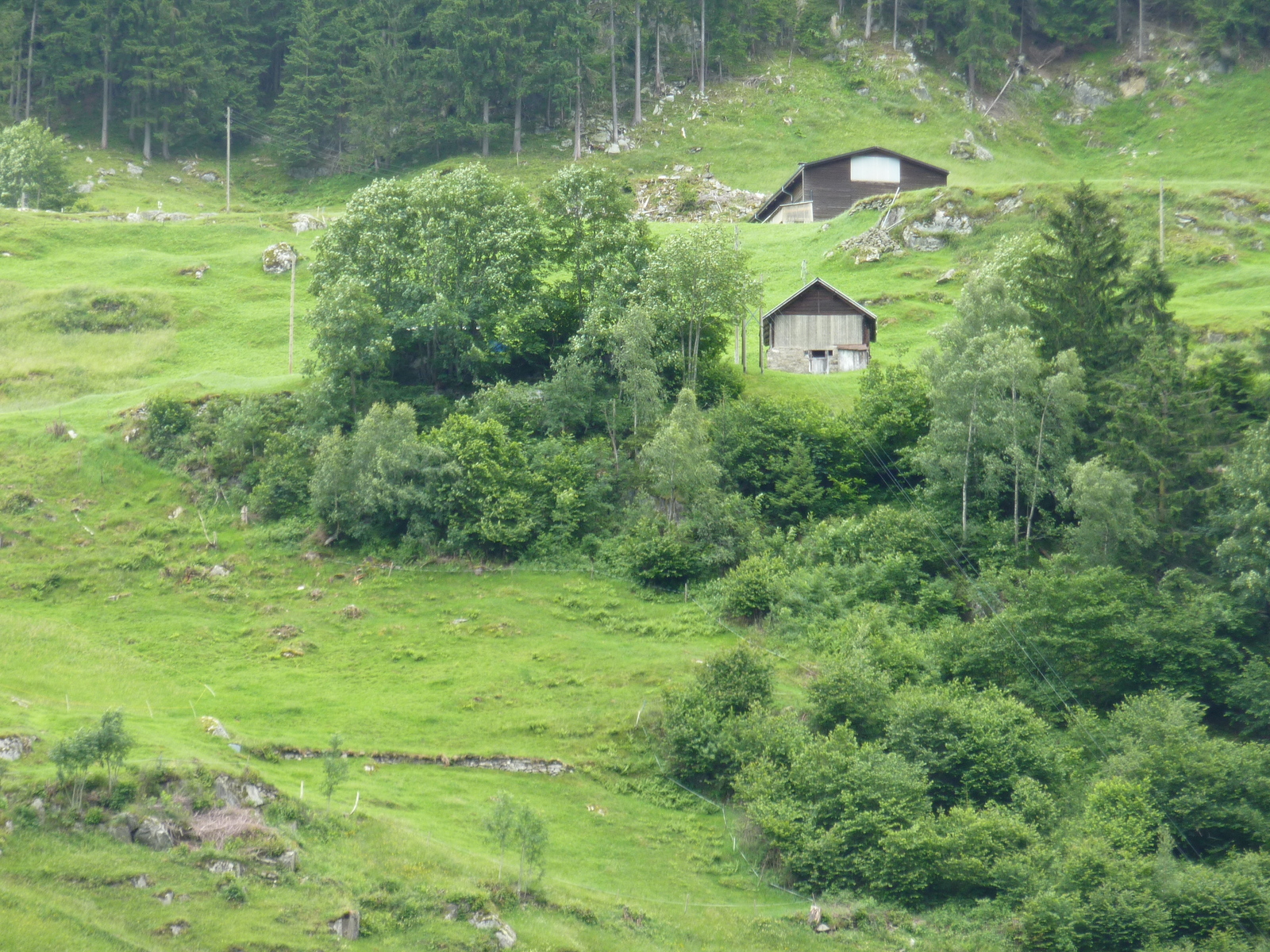 รูปถ่าย สวิสเซอร์แลนด์(Switzerland) ช่องเขากอตธาร์ด(Gotthard Pass) 2009-06 8