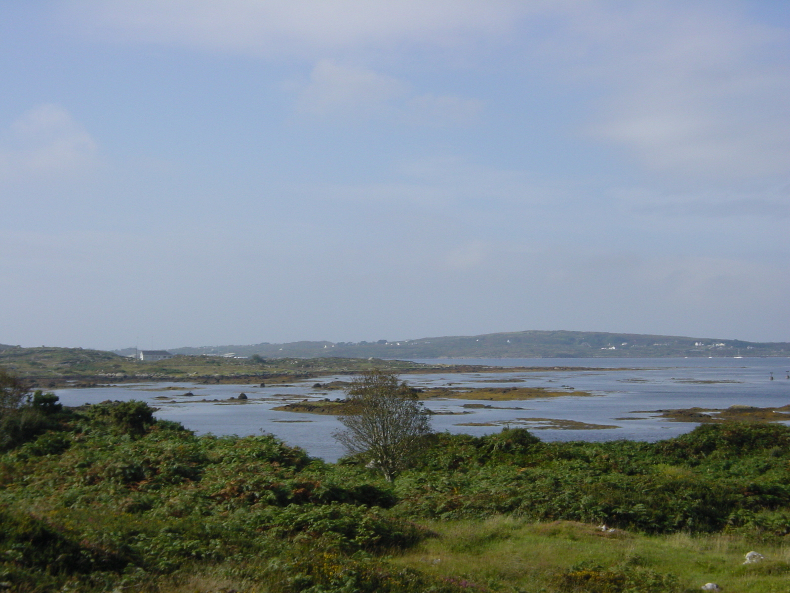 รูปถ่าย ไอร์แลนด์(Ireland) คอนเนอมารา(Connemara) 2003-09 0