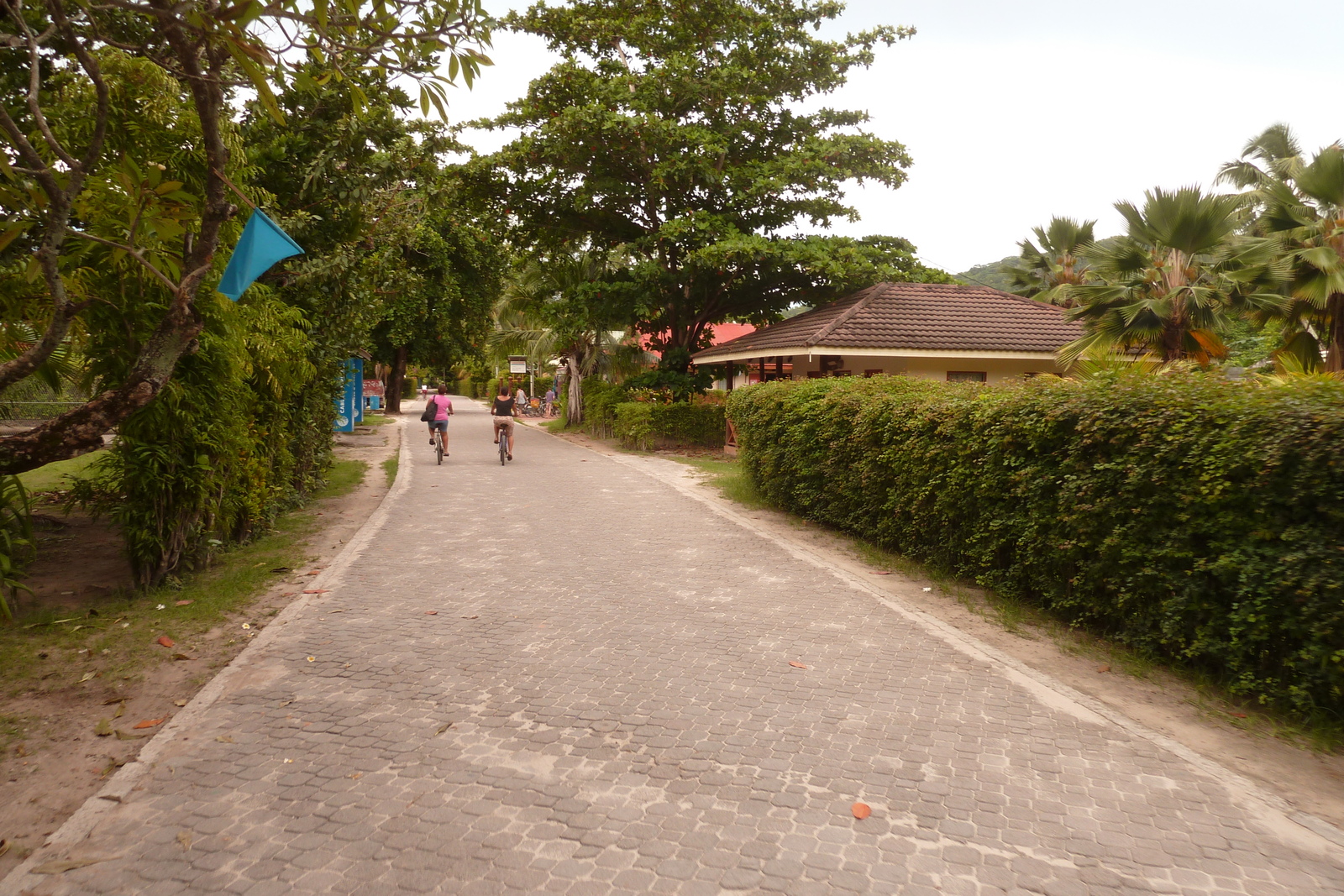 รูปถ่าย เซเชลส์(Seychelles) เกาะลาดีก(La Digue) 2011-10 220