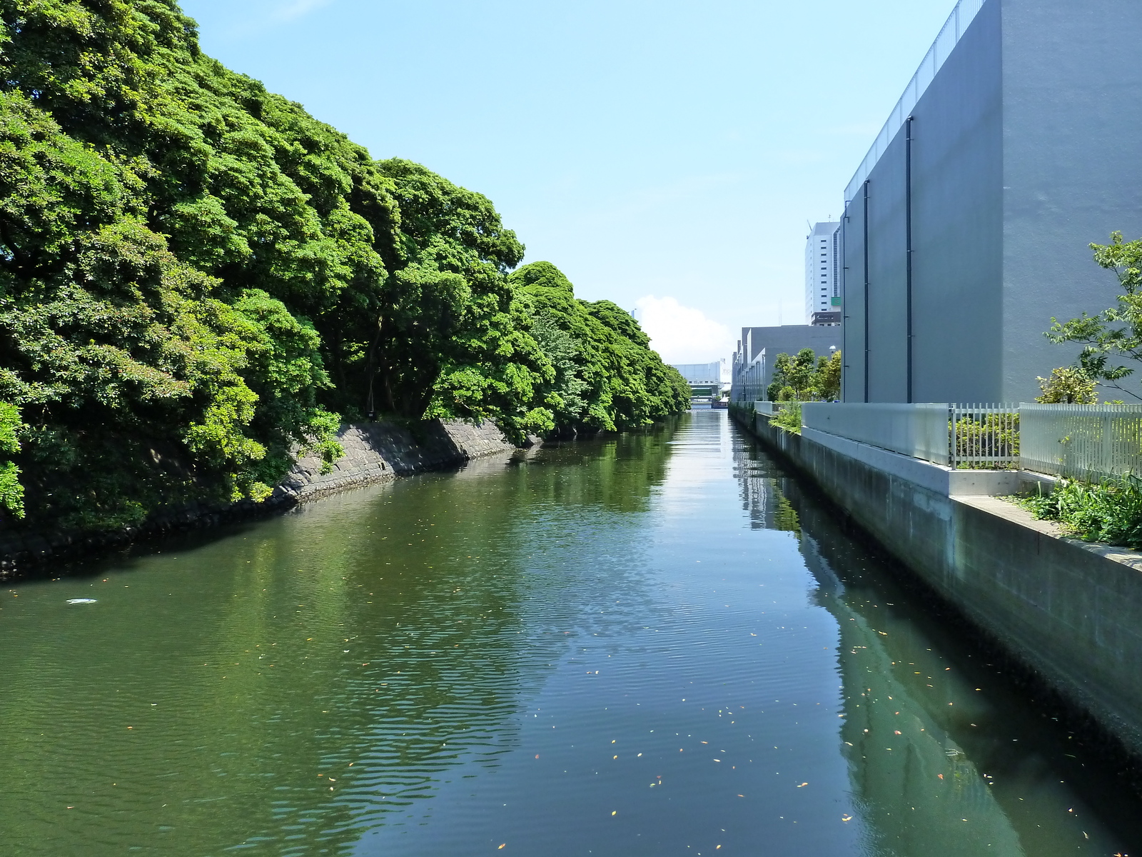 รูปถ่าย ญี่ปุ่น(Japan) โตเกียว(Tokyo) สวนฮามะริคิว(Hama rikyu Gardens) 2010-06 29