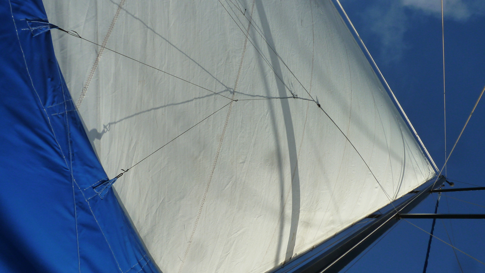 รูปถ่าย เซเชลส์(Seychelles) ซีสตาร์(Sea Star) 2011-10 35