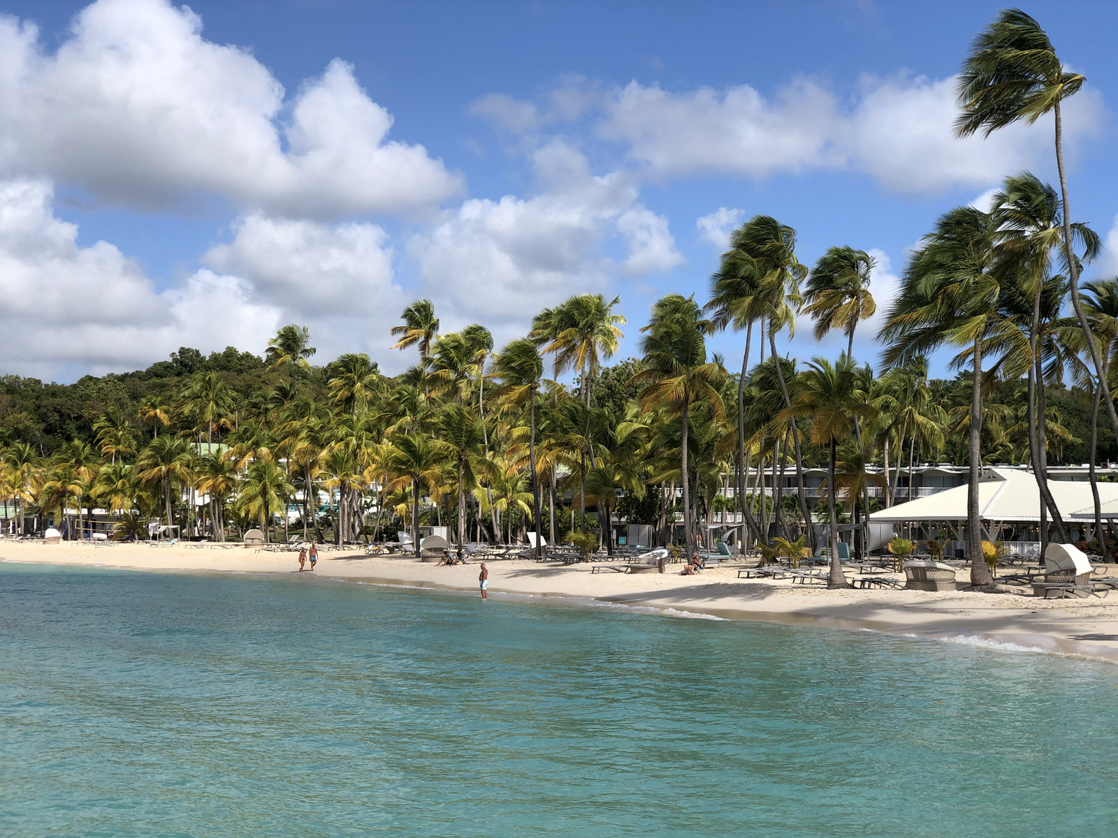 รูปถ่าย กวาเดอลูป(Guadeloupe) หาดลาการาแวล(La Caravelle Beach) 2021-02 68