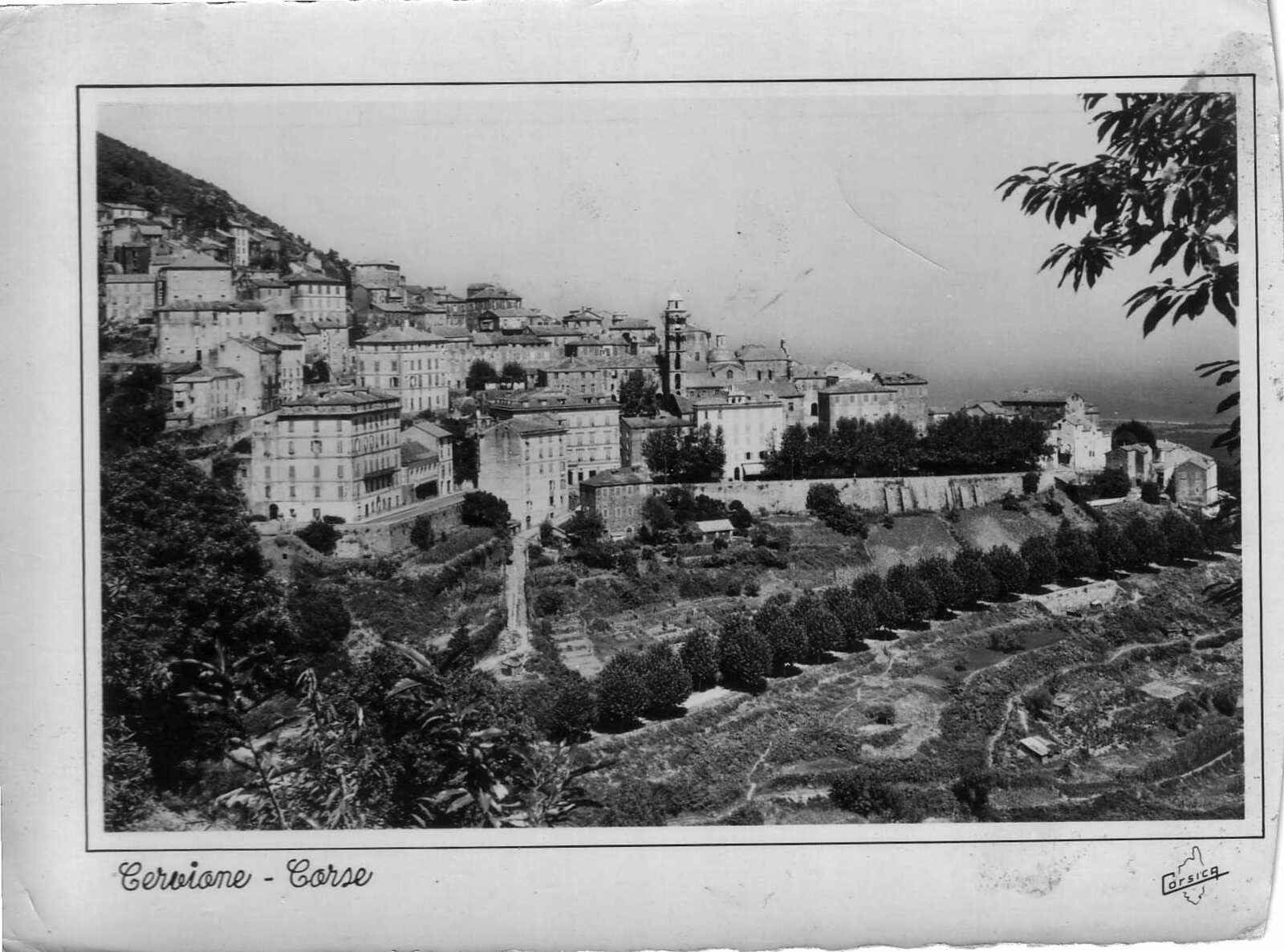 รูปถ่าย ฝรั่งเศส(France) คอร์สิคา(Corsica) โปสการ์ดเก่า(Old Postcards) 1900-01 192