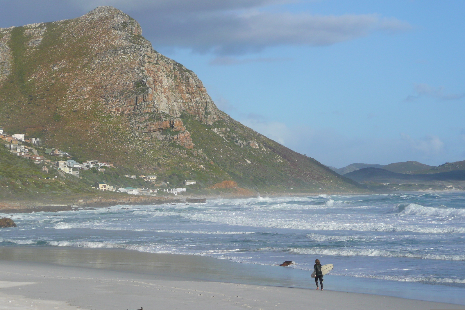 รูปถ่าย แอฟริกาใต้(South Africa) แหลมกู๊ดโฮป(Cape of Good Hope) 2008-09 112