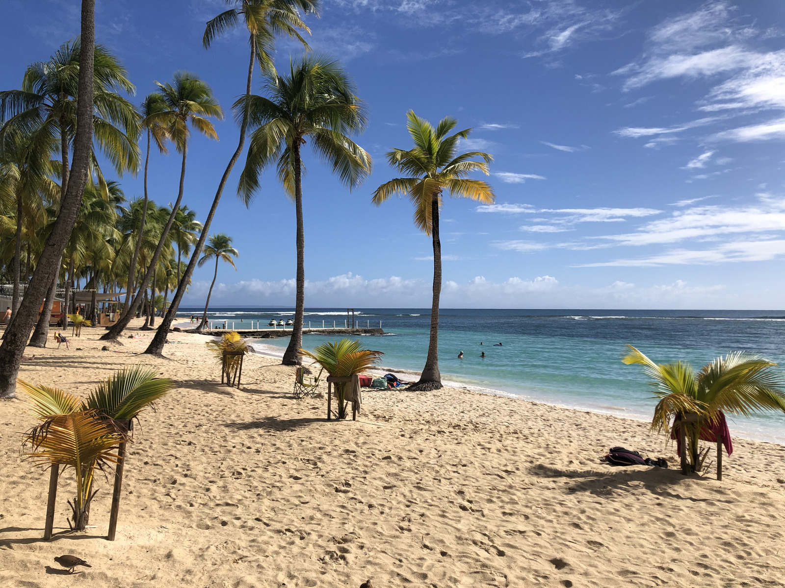 รูปถ่าย กวาเดอลูป(Guadeloupe) หาดลาการาแวล(La Caravelle Beach) 2021-02 16