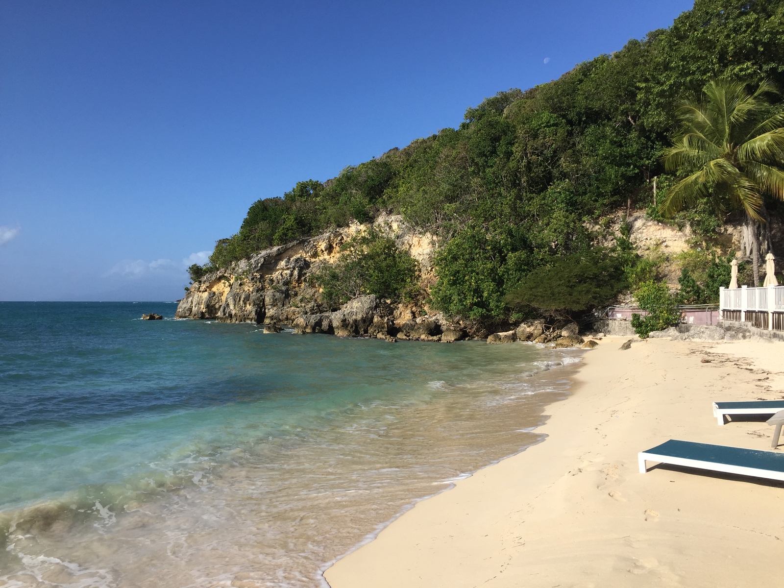 รูปถ่าย กวาเดอลูป(Guadeloupe) หาดลาการาแวล(La Caravelle Beach) 2021-02 62