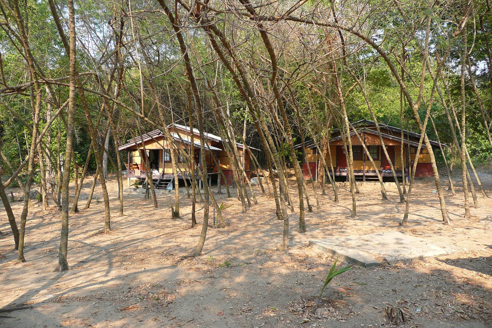รูปถ่าย ไทย(Thailand) ชลบุรี(Chonburi) หาดทรายแก้ว(Sai Keaw Beach) 2008-01 10