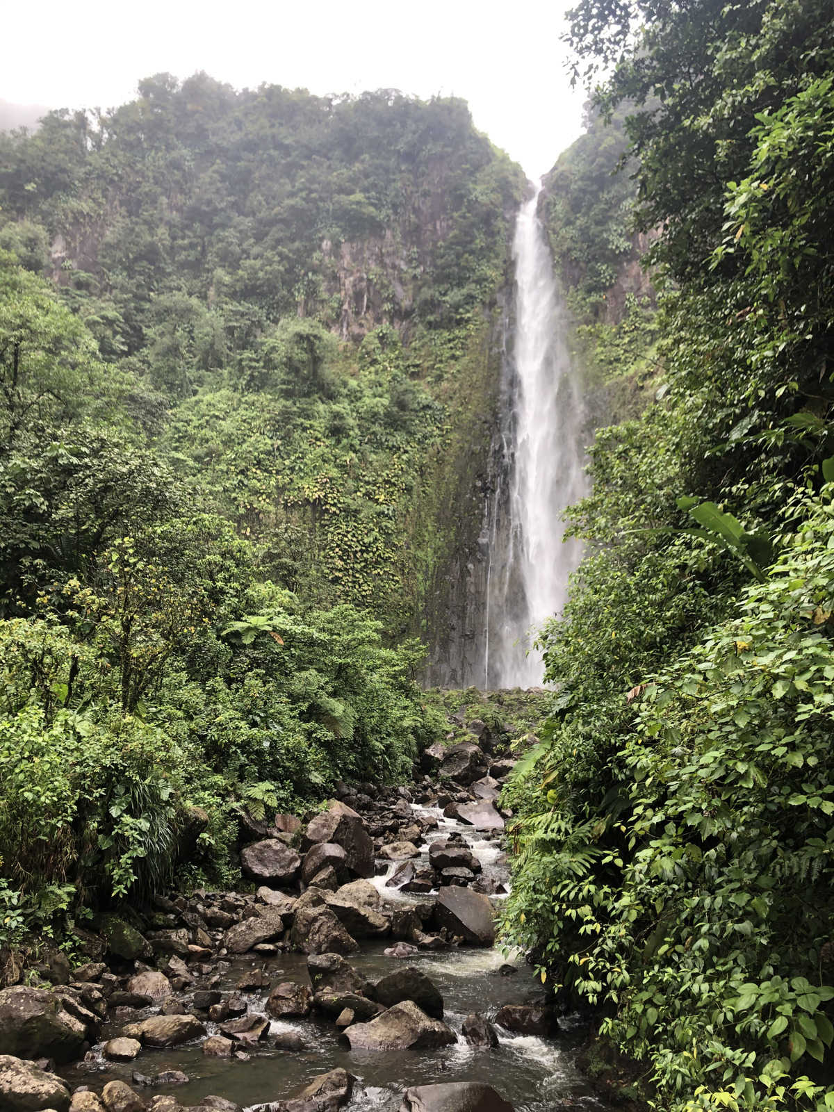 รูปถ่าย กวาเดอลูป(Guadeloupe) น้ำตกการ์เบ(Carbet Falls) 2021-02 42