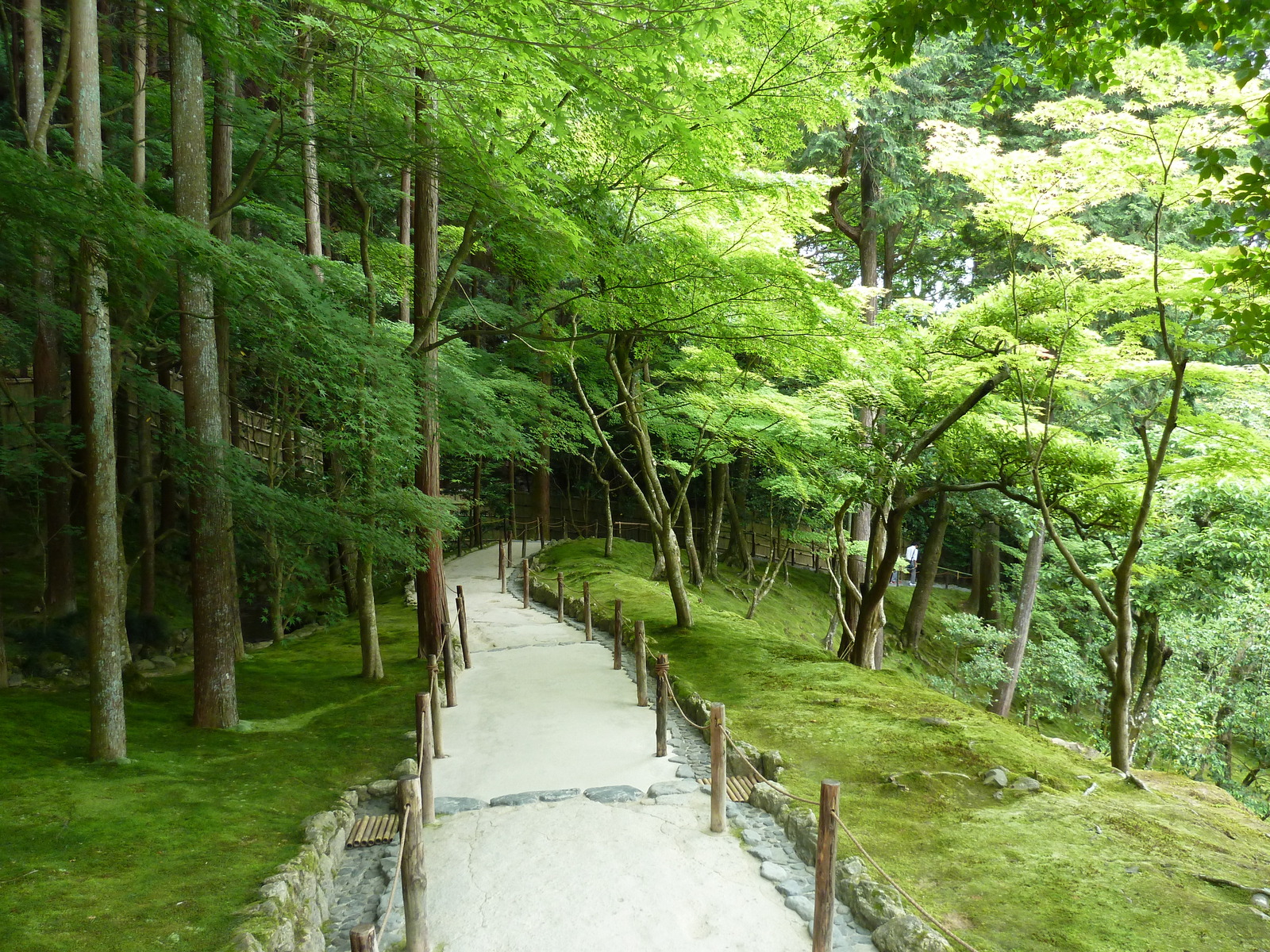 รูปถ่าย ญี่ปุ่น(Japan) เกียวโต(Kyoto) วัดกินกะกุจิ (ศาลาเงิน)(Ginkakuji Temple(Silver Pavilion)) 2010-06 2