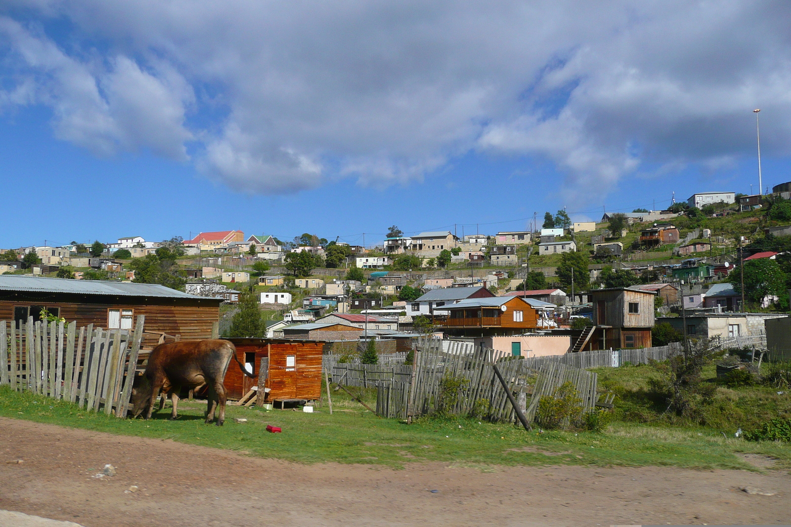 รูปถ่าย แอฟริกาใต้(South Africa) ไนส์นา(Knysna) 2008-09 89