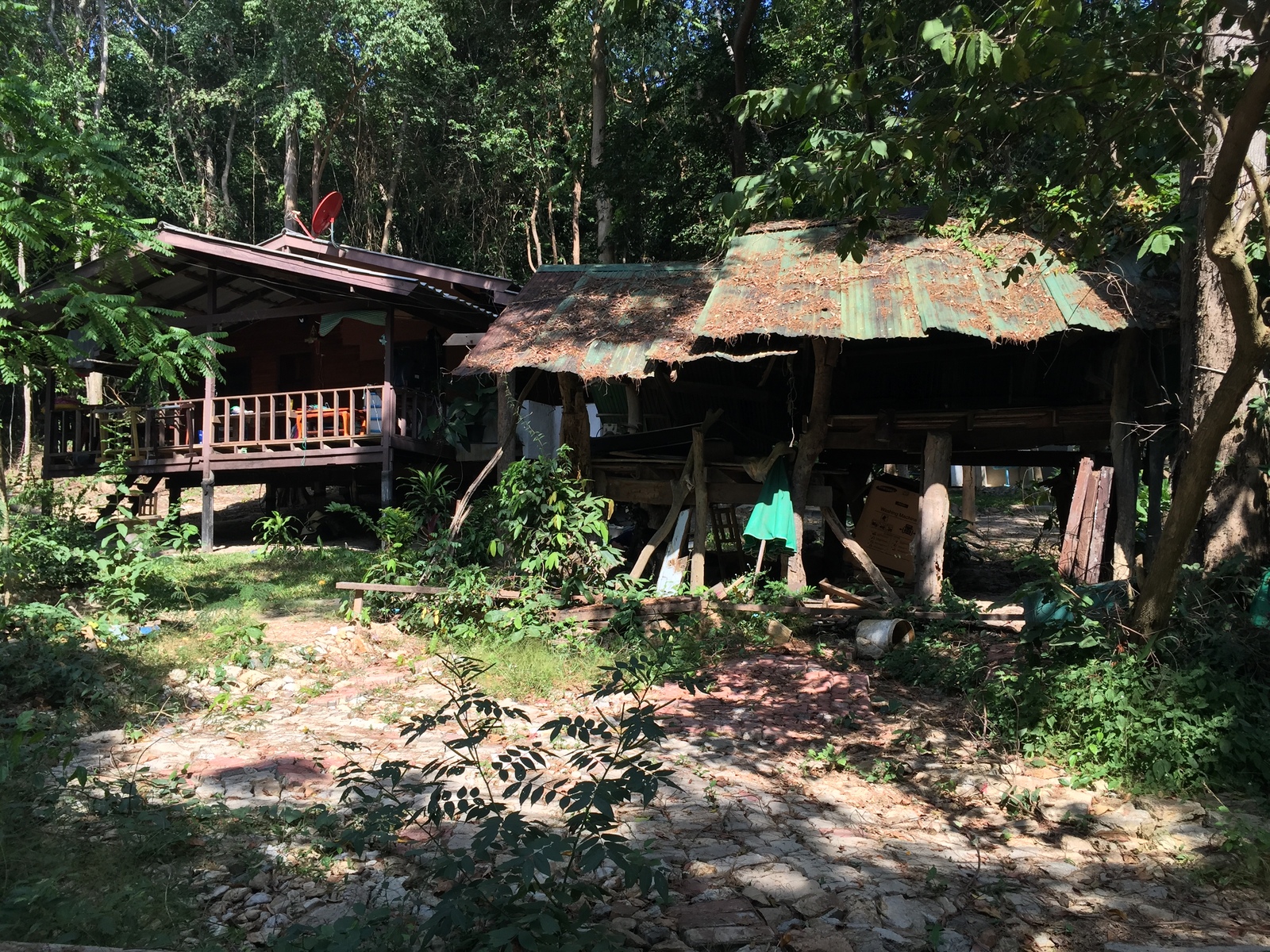 รูปถ่าย ไทย(Thailand) เกาะเสม็ด(Ko Samet) 2014-12 259