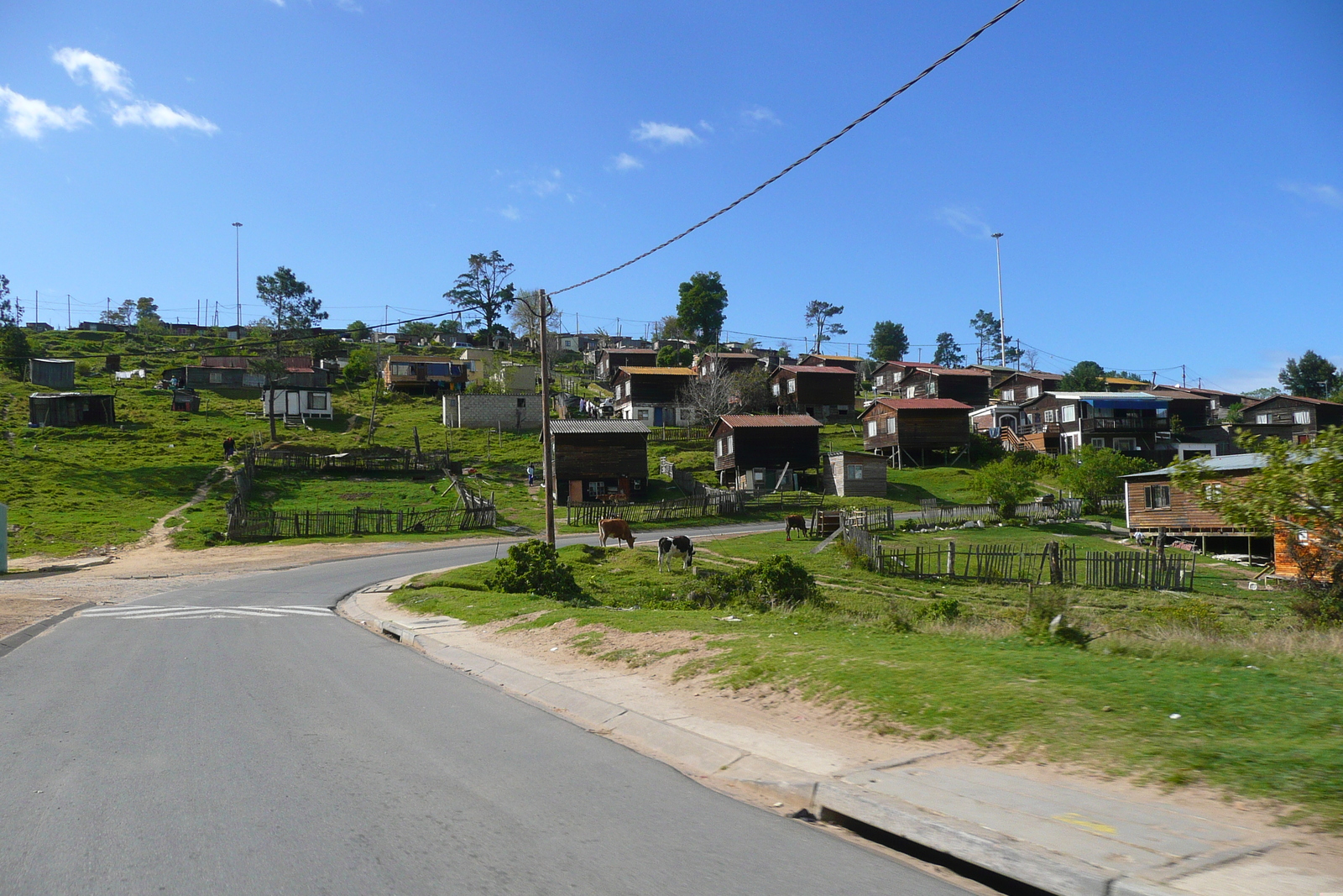 รูปถ่าย แอฟริกาใต้(South Africa) ไนส์นา(Knysna) 2008-09 31