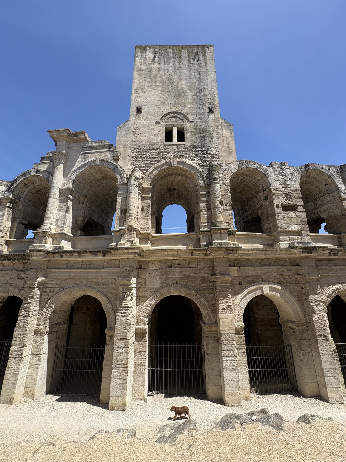 รูปถ่าย ฝรั่งเศส(France) อาร์เลอ(Arles) 2026-06 1
