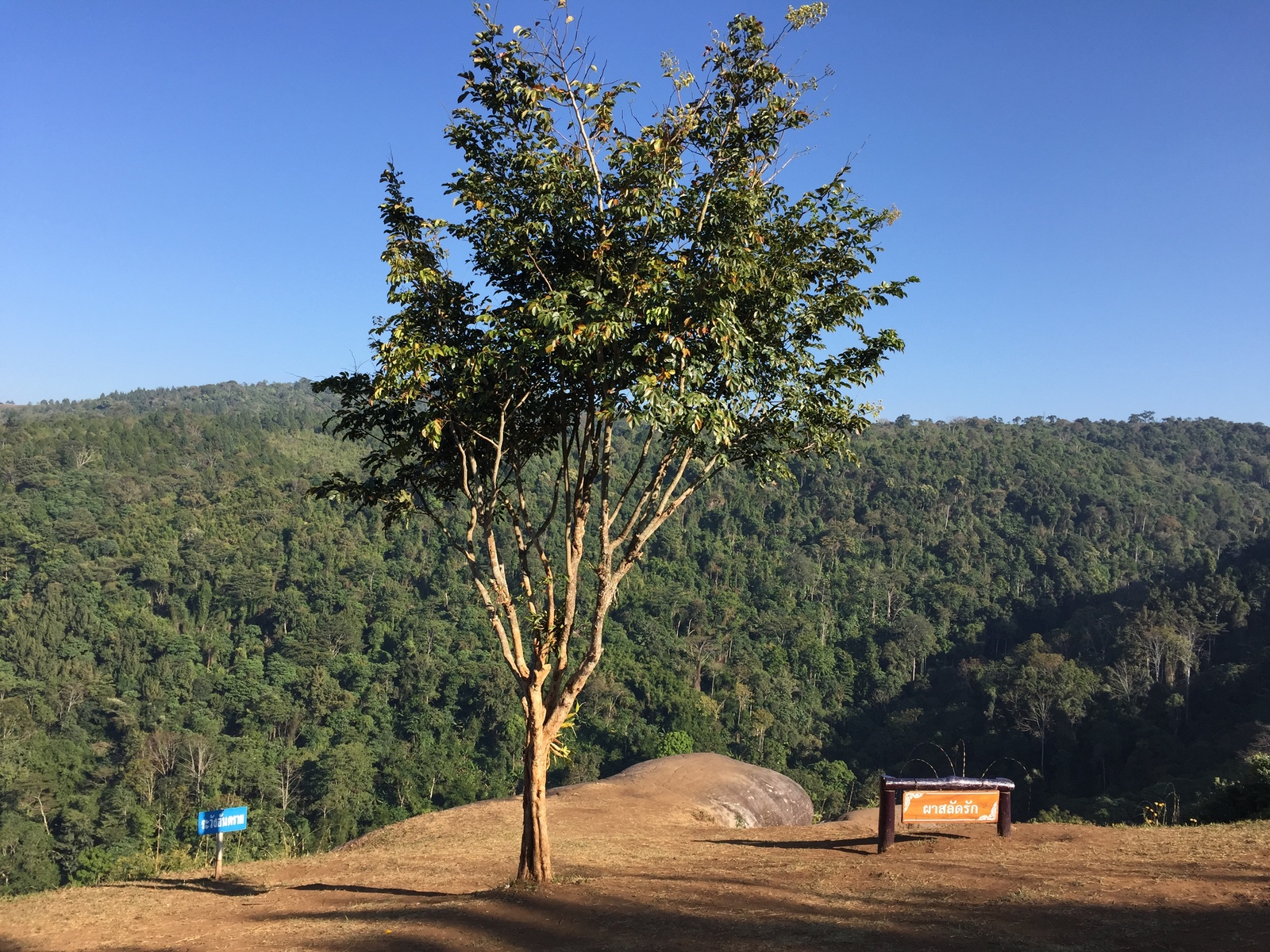 รูปถ่าย ไทย(Thailand) อุทยานแห่งชาติภูหินร่องกล้า(Phu Hin Rong Kla National Park) 2014-12 376