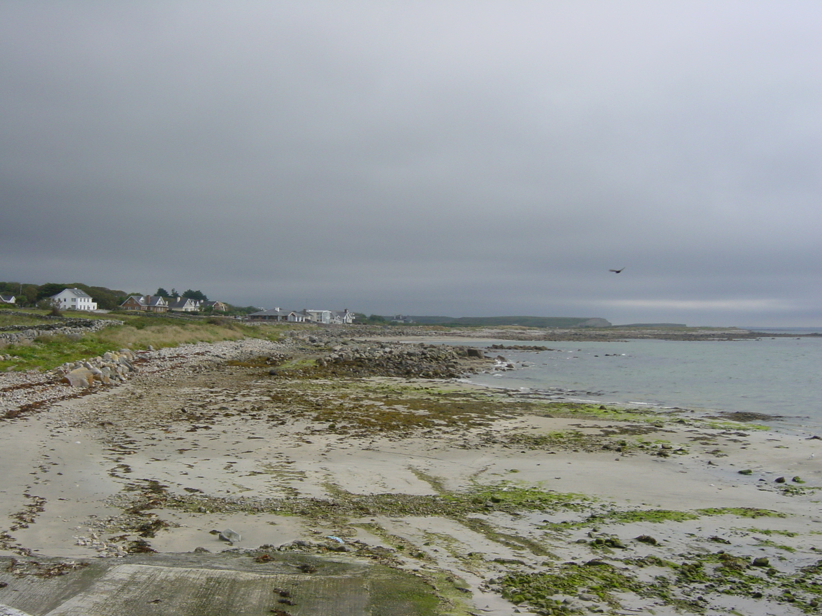 รูปถ่าย ไอร์แลนด์(Ireland) คอนเนอมารา(Connemara) 2003-09 56