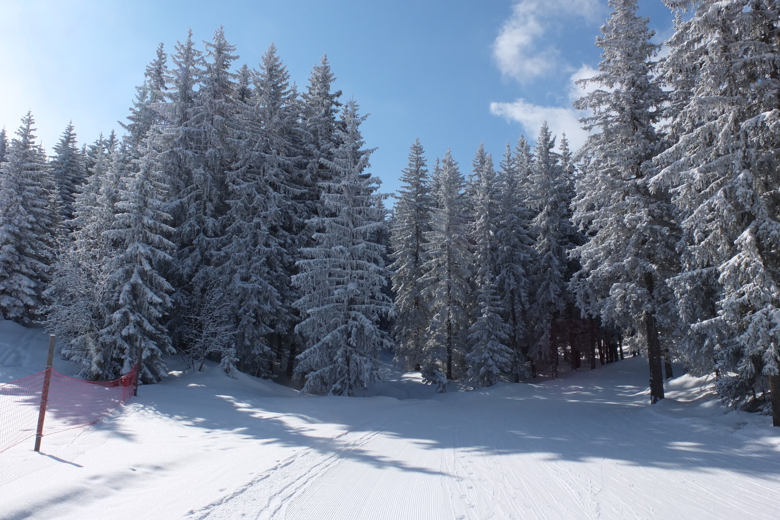รูปถ่าย ฝรั่งเศส(France) เลทรัววาเล(Les 3 Vallees) 2013-03 98
