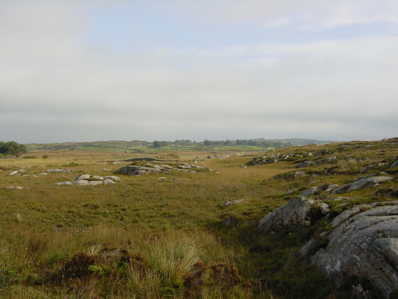 รูปถ่าย ไอร์แลนด์(Ireland) คอนเนอมารา(Connemara) 2003-09 34