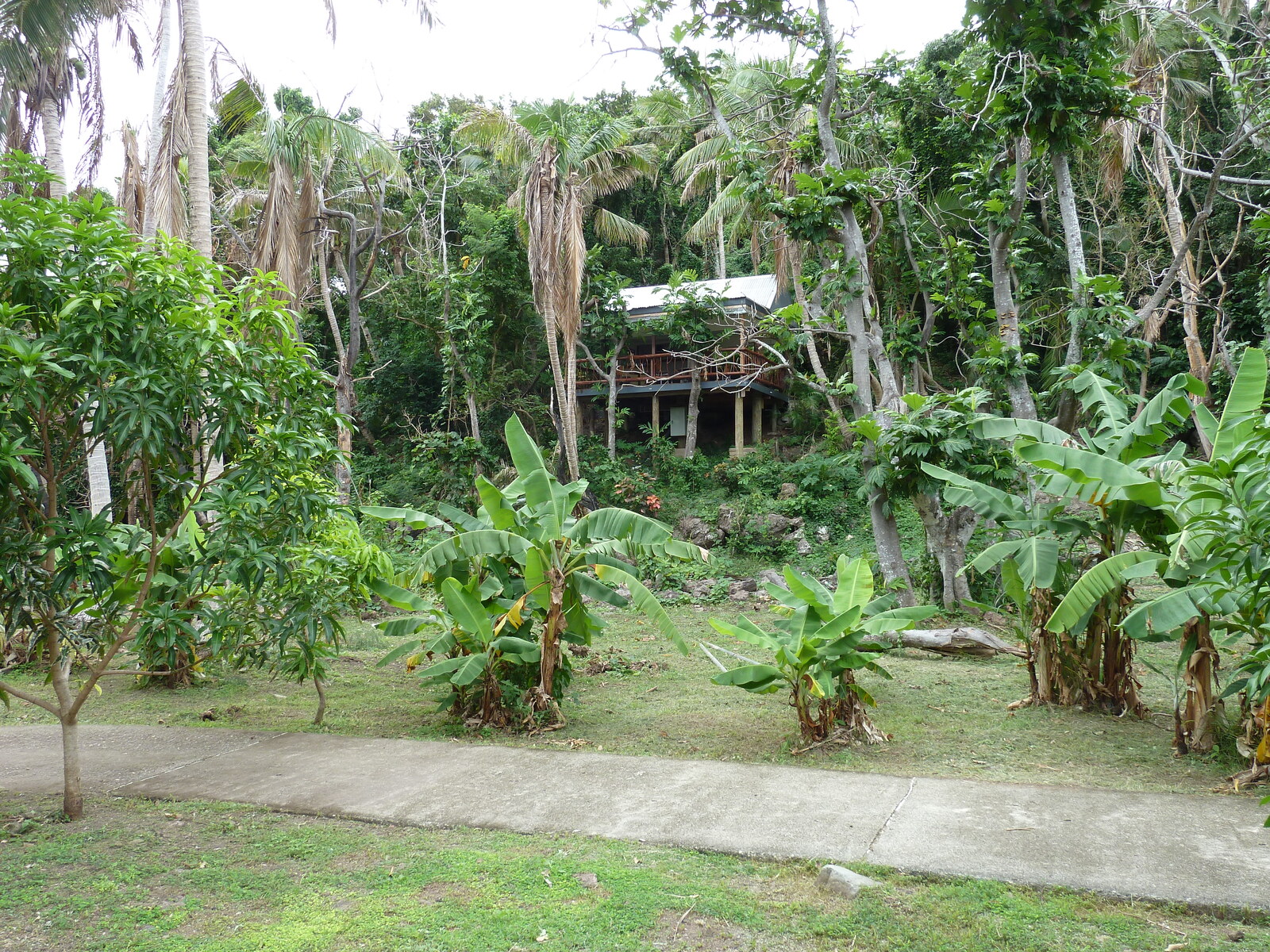 รูปถ่าย ฟิจิ(Fiji) รีสอร์ตเกาะอามูนูกา(Amunuca Island Resort) 2010-05 44