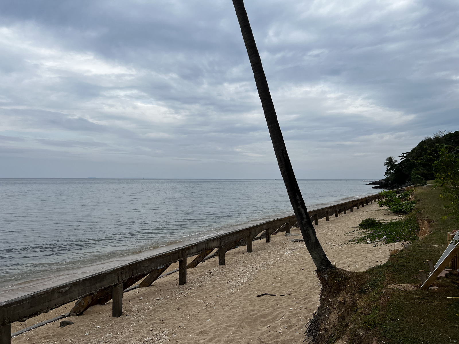 รูปถ่าย ไทย(Thailand) เกาะลันตา(Ko Lanta) 2023-01 79