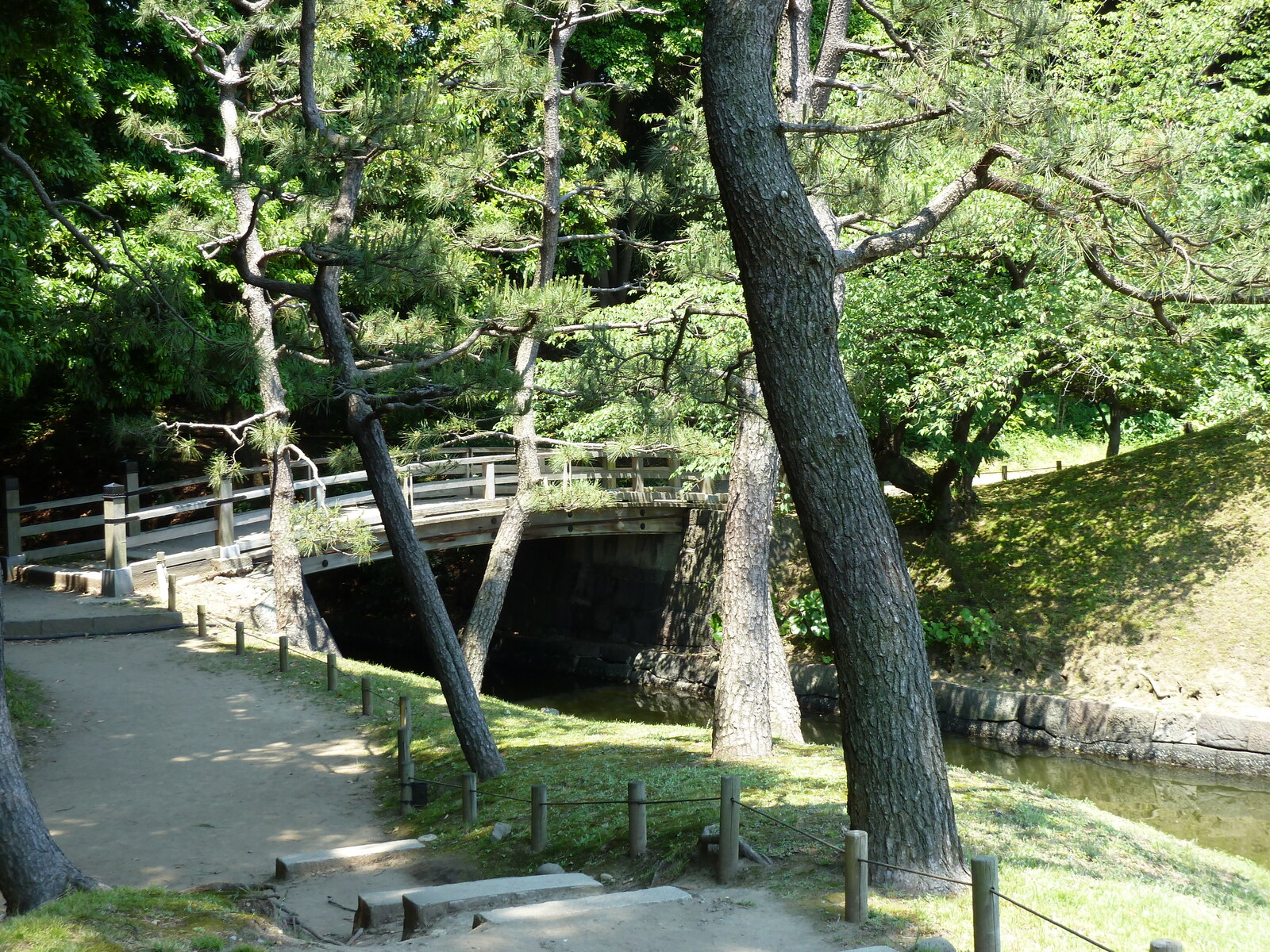 รูปถ่าย ญี่ปุ่น(Japan) โตเกียว(Tokyo) สวนฮามะริคิว(Hama rikyu Gardens) 2010-06 112