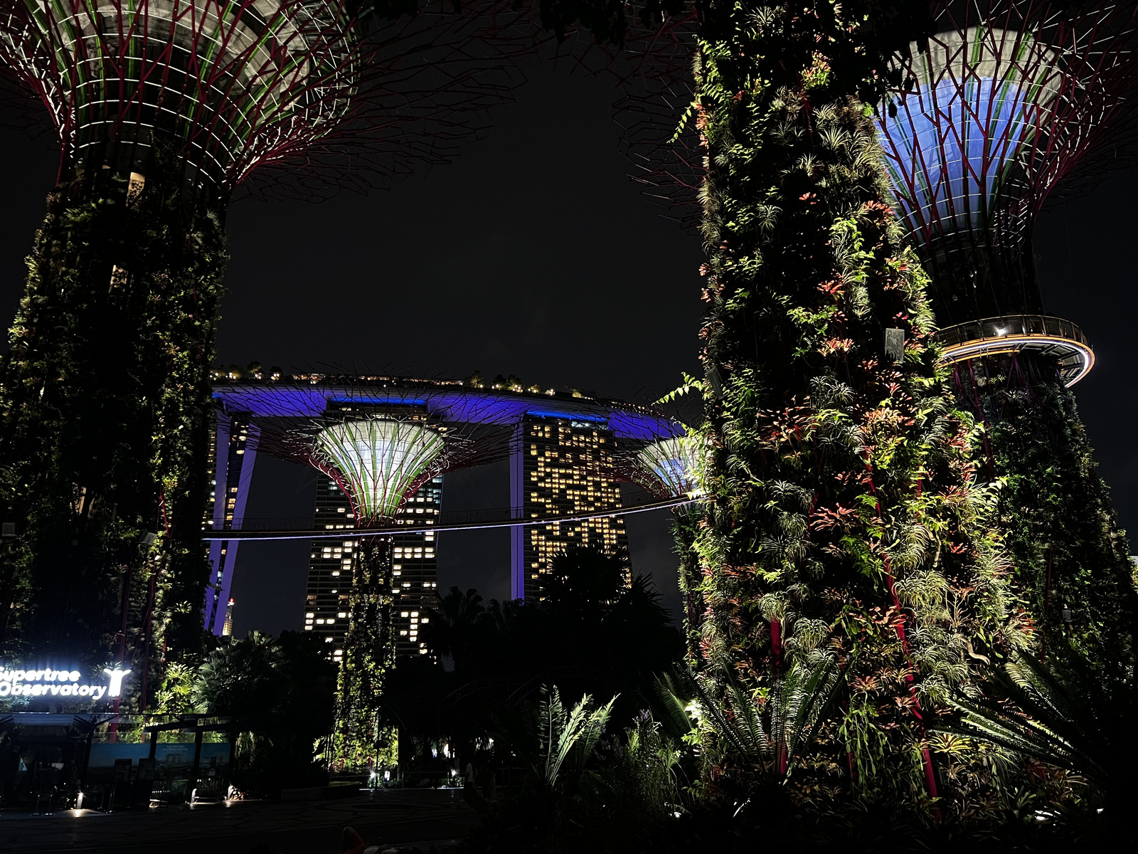 รูปถ่าย สิงคโปร์(Singapore) การ์เดนส์บายเดอะเบย์(Garden by the bay) 2023-01 28