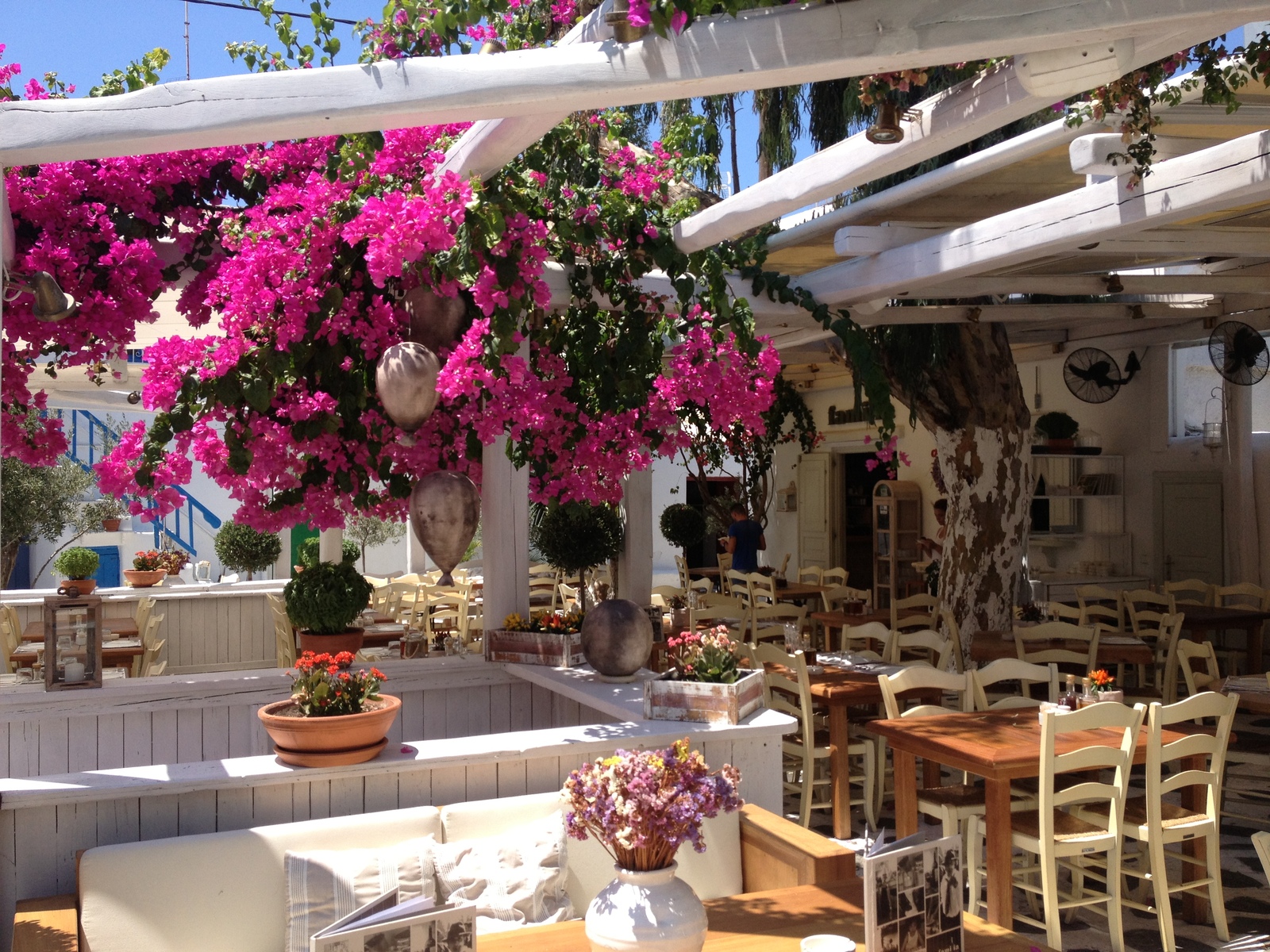 รูปถ่าย กรีก(Greece) เกาะมิโคนอส(Mykonos) 2014-07 325
