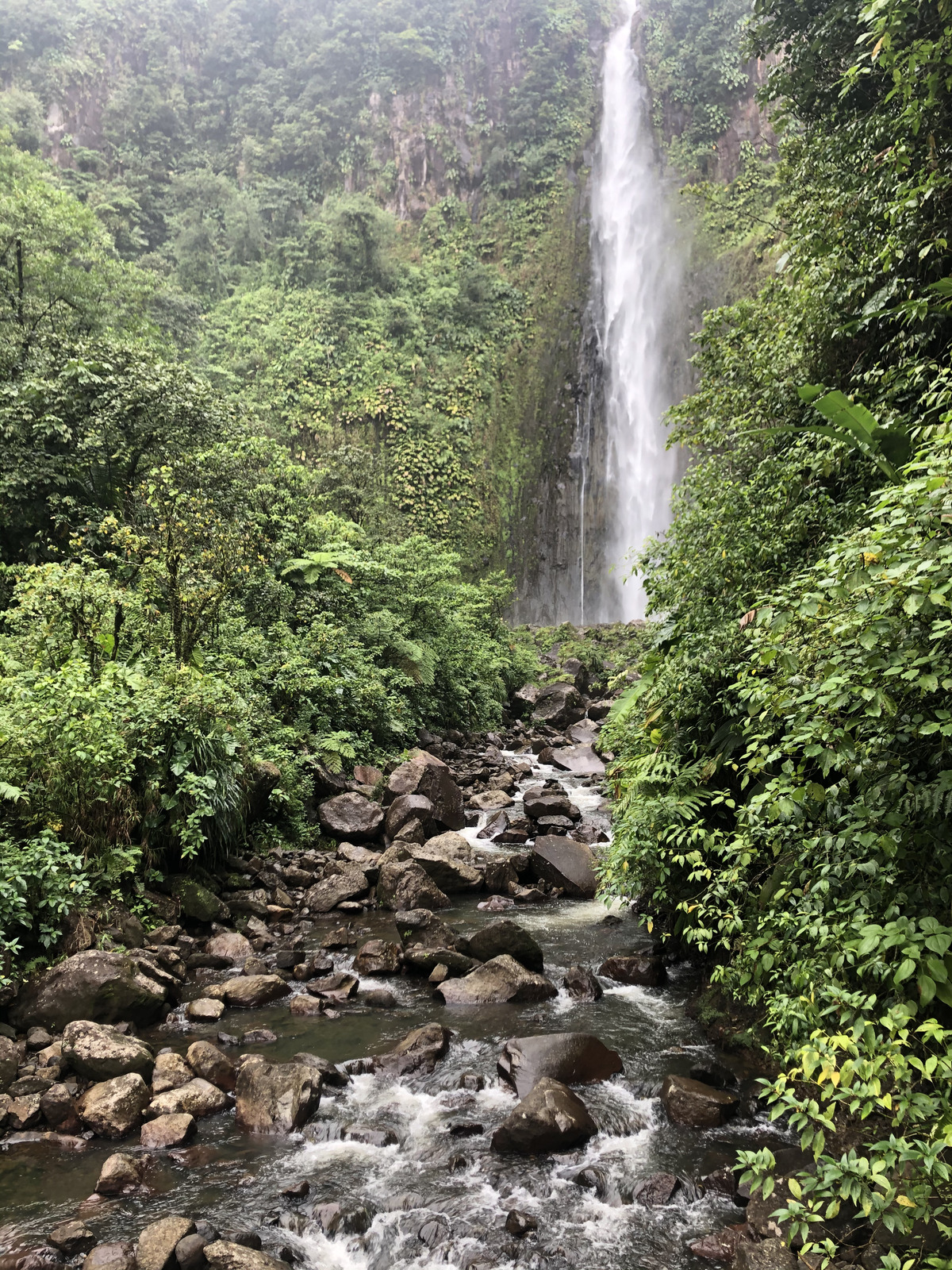 รูปถ่าย กวาเดอลูป(Guadeloupe) น้ำตกการ์เบ(Carbet Falls) 2021-02 39