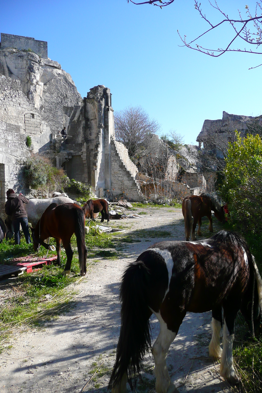 รูปถ่าย ฝรั่งเศส(France) เลส์โบเดอโพรว็องซ์(Baux de Provence) ปราสาทโบเดอโพรว็องส์(Baux de Provence Castle) 2008-04 133