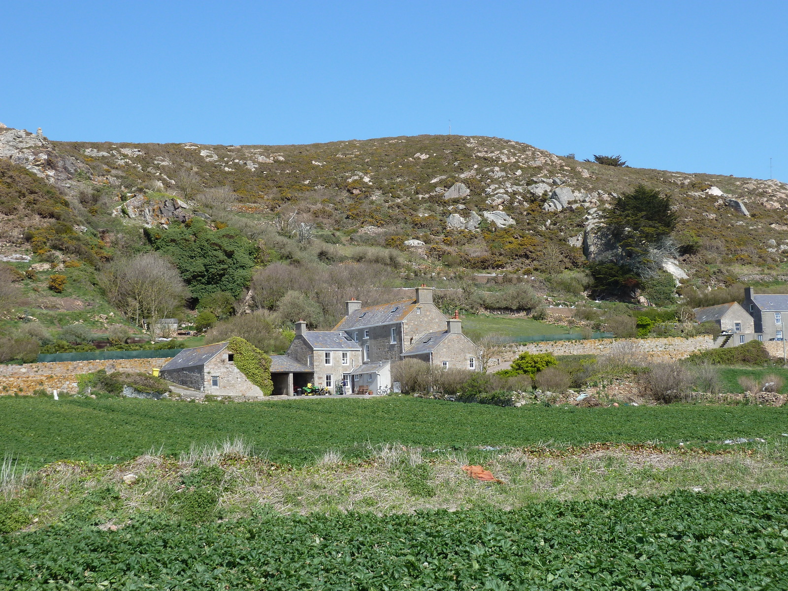 รูปถ่าย เจอร์ซีย์(Jersey) เจอร์ซีย์(Jersey) แซ็งตูแอ็ง(St Ouen) 2010-04 25