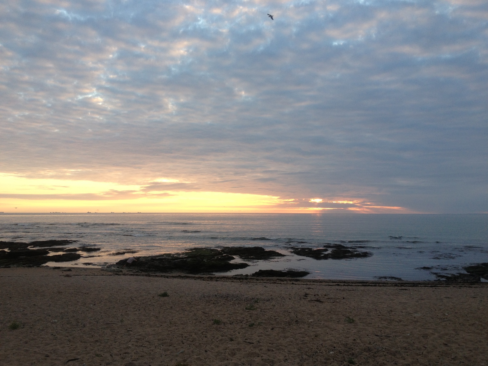 รูปถ่าย ฝรั่งเศส(France) ลาแปลน-ซูร์-แมร์(La Plaine sur mer) 2013-06 7