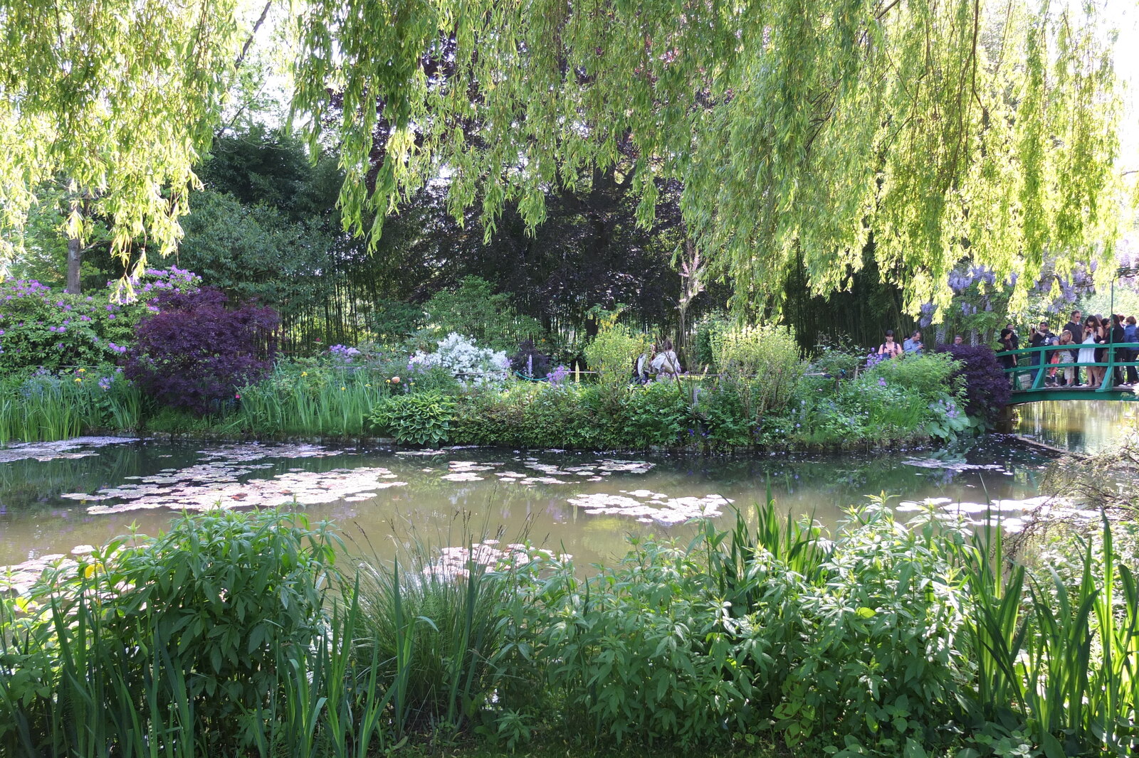 รูปถ่าย ฝรั่งเศส(France) ฌีแวร์นี(Giverny) 2013-06 43