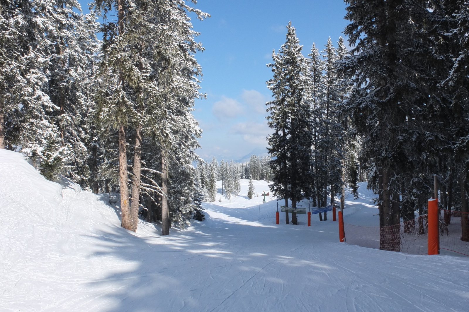 รูปถ่าย ฝรั่งเศส(France) เลทรัววาเล(Les 3 Vallees) 2013-03 37