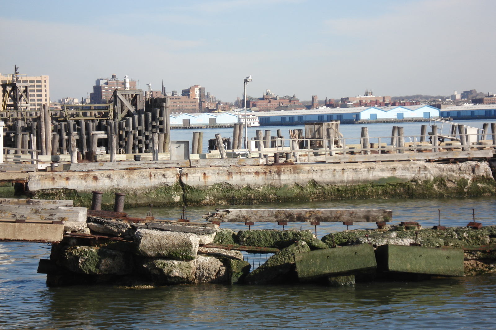 รูปถ่าย สหรัฐอเมริกา(United States) นิวยอร์ก(New York) สวน  แบตเตอรี่(Battery Park) 2006-03 39