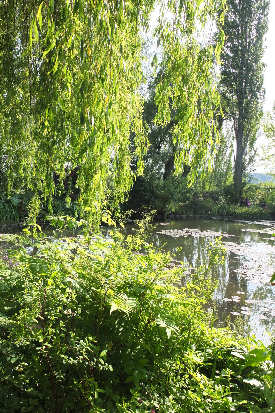 รูปถ่าย ฝรั่งเศส(France) ฌีแวร์นี(Giverny) 2013-06 76