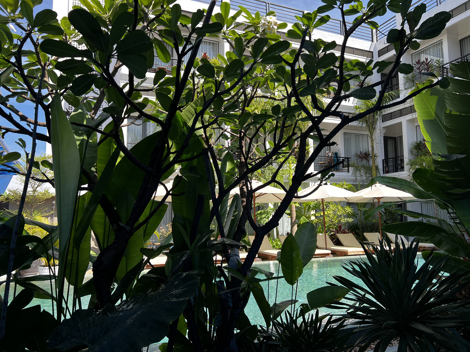 รูปถ่าย กัมพูชา(Cambodia) เสียมราฐ(Siem Reap) โรงแรมบูติกขแมร์เฮาส์(Khmer House Boutique Hotel) 2023-01 32
