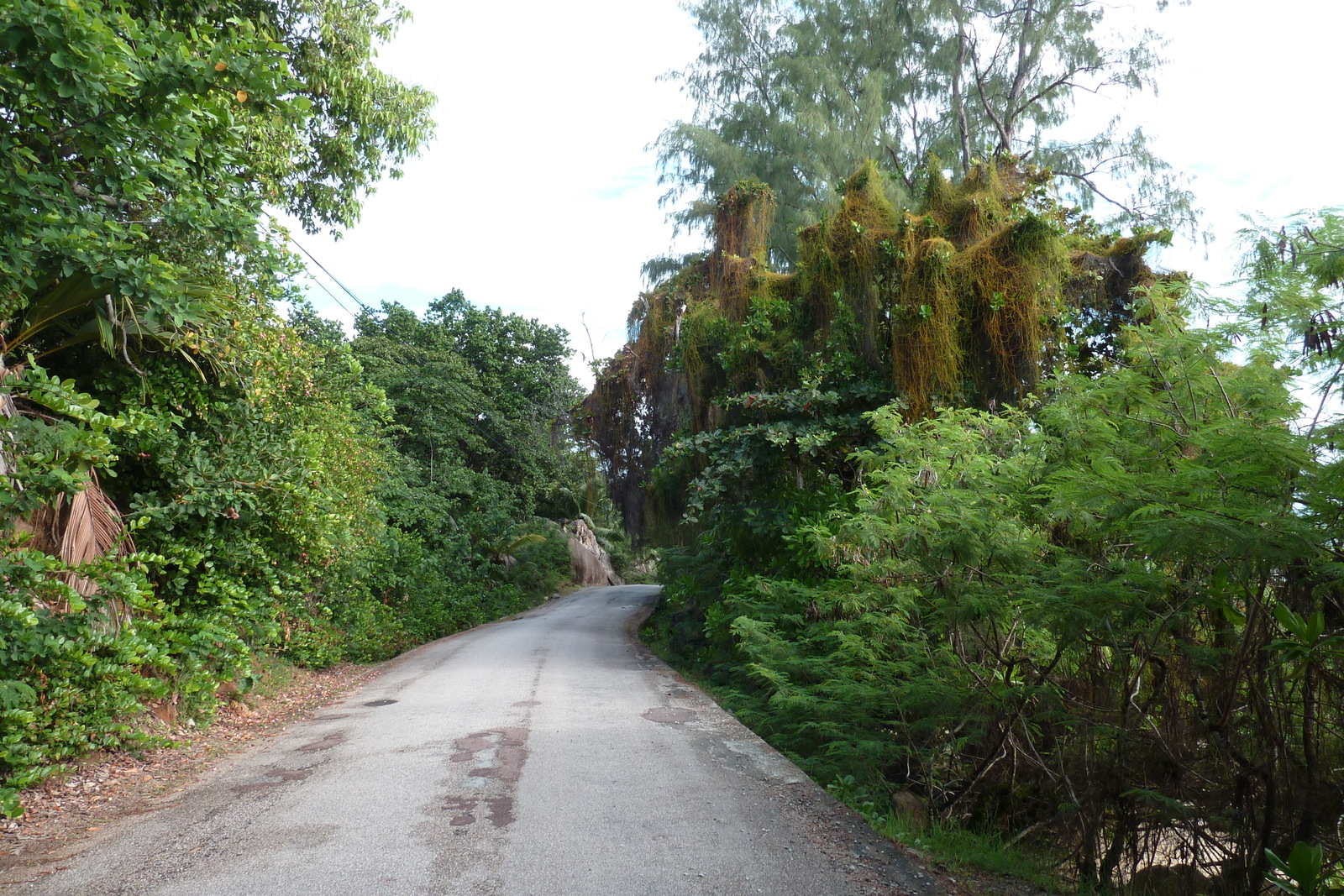 รูปถ่าย เซเชลส์(Seychelles) เกาะปราลิน(Praslin) 2011-10 200