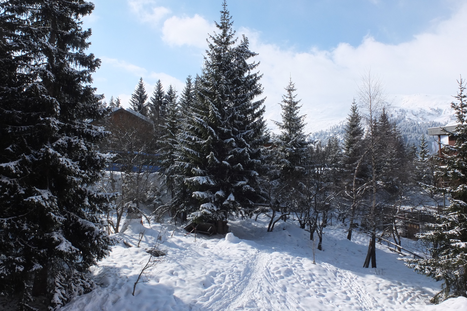 รูปถ่าย ฝรั่งเศส(France) เลทรัววาเล(Les 3 Vallees) 2013-03 411