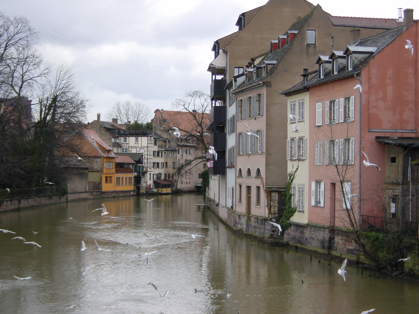 รูปถ่าย ฝรั่งเศส(France) สตราสบวร์ก(Strasbourg) 2002-02 3