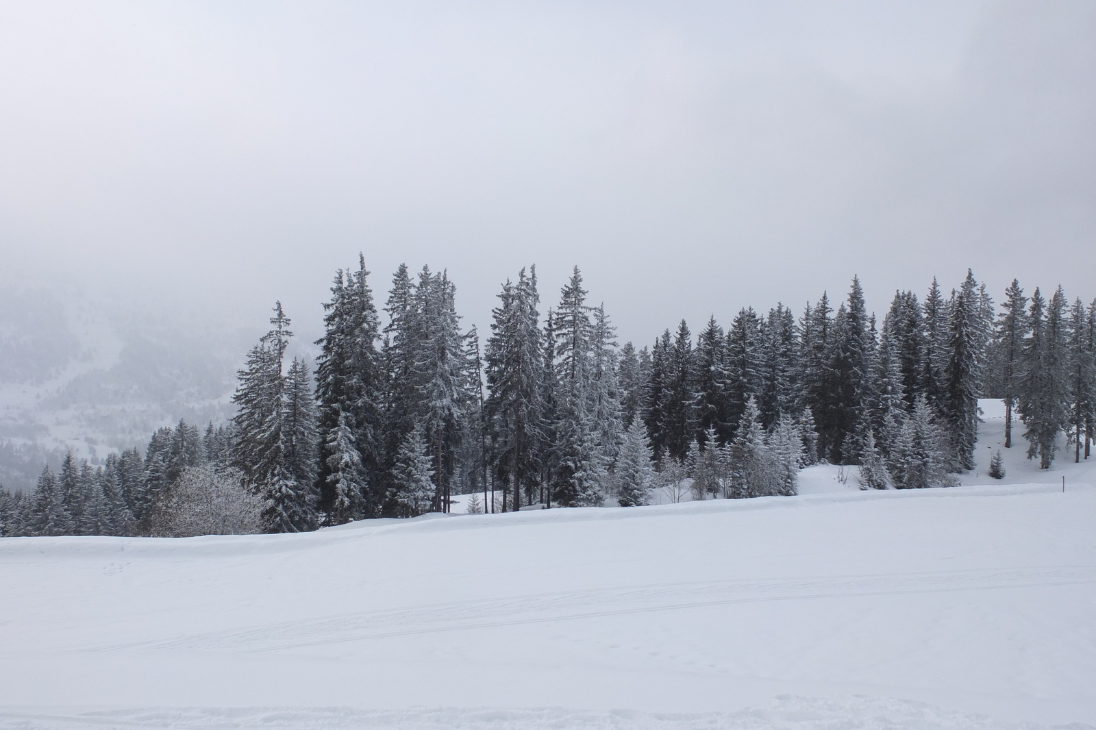 รูปถ่าย ฝรั่งเศส(France) เลทรัววาเล(Les 3 Vallees) 2013-03 369