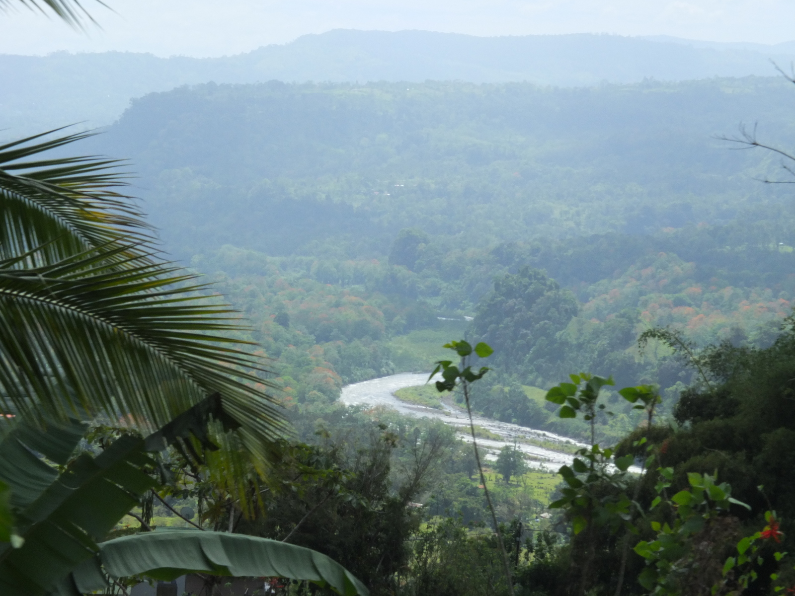 รูปถ่าย คอสตาริกา(Costa Rica) ตูร์รีอัลบา(Turrialba) 2015-03 48