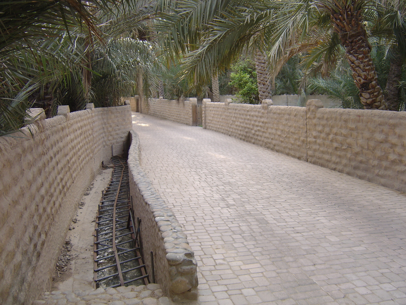 รูปถ่าย สหรัฐอาหรับเอมิเรตส์(United Arab Emirates) อาเลอิน(Al Ain) โอเอซิสอัลไอน์(Al Ain Oasis) 2005-03 38