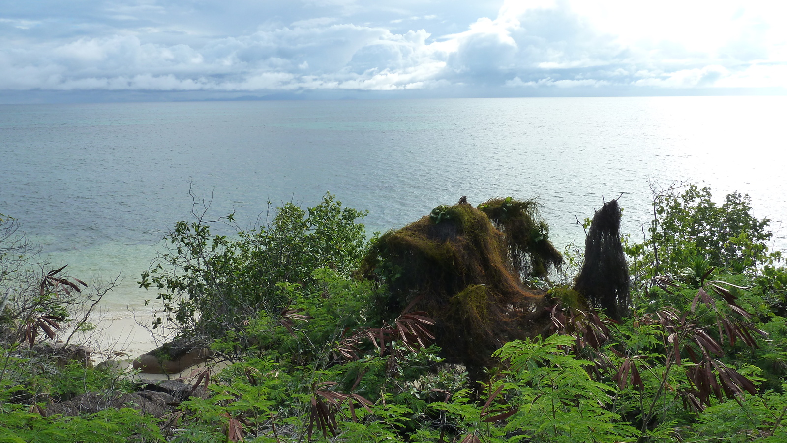 รูปถ่าย เซเชลส์(Seychelles) เกาะปราลิน(Praslin) 2011-10 24