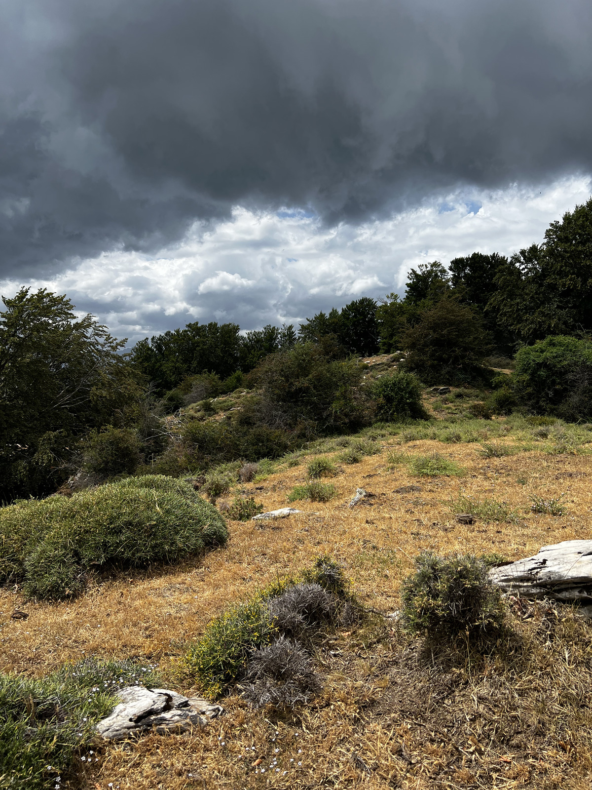 รูปถ่าย ฝรั่งเศส(France) คอร์สิคา(Corsica) ที่พักกัลเลรุชชู(Refuge de Callerucciu) 2022-06 41