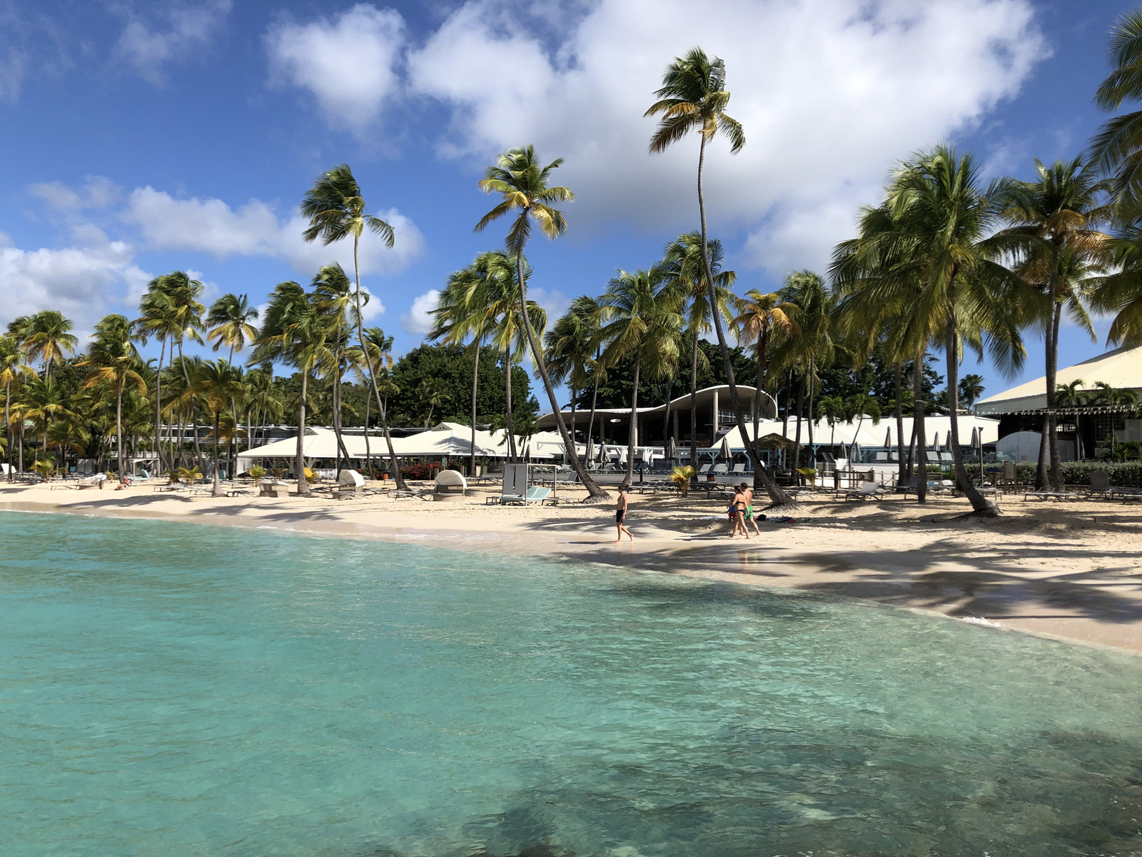 รูปถ่าย กวาเดอลูป(Guadeloupe) หาดลาการาแวล(La Caravelle Beach) 2021-02 26