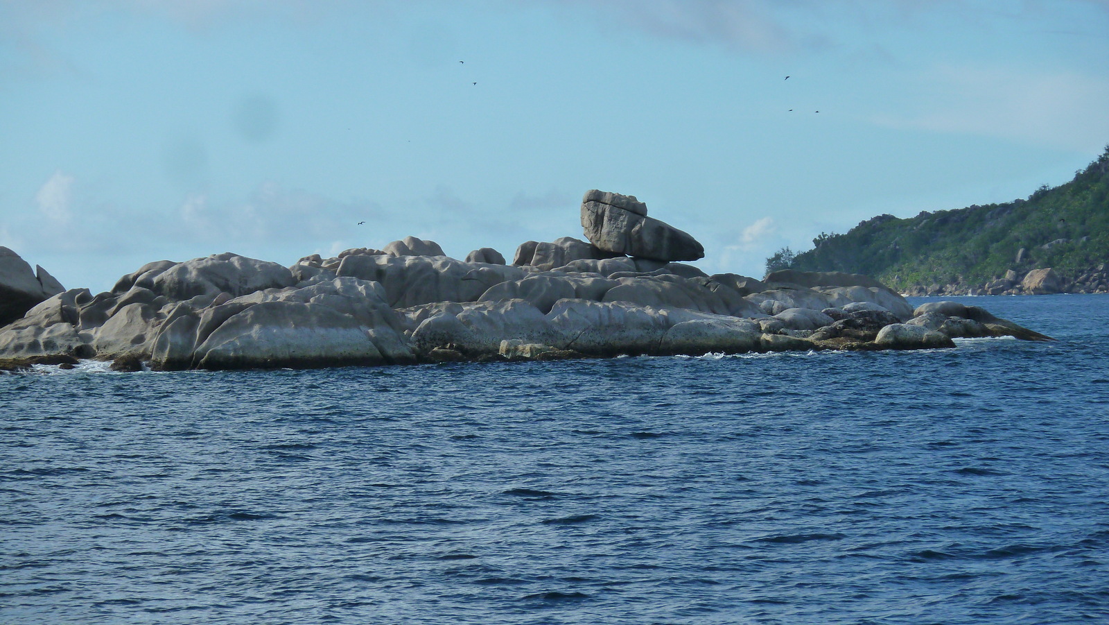 รูปถ่าย เซเชลส์(Seychelles) เกาะโกโก้(Coco Island) 2011-10 66