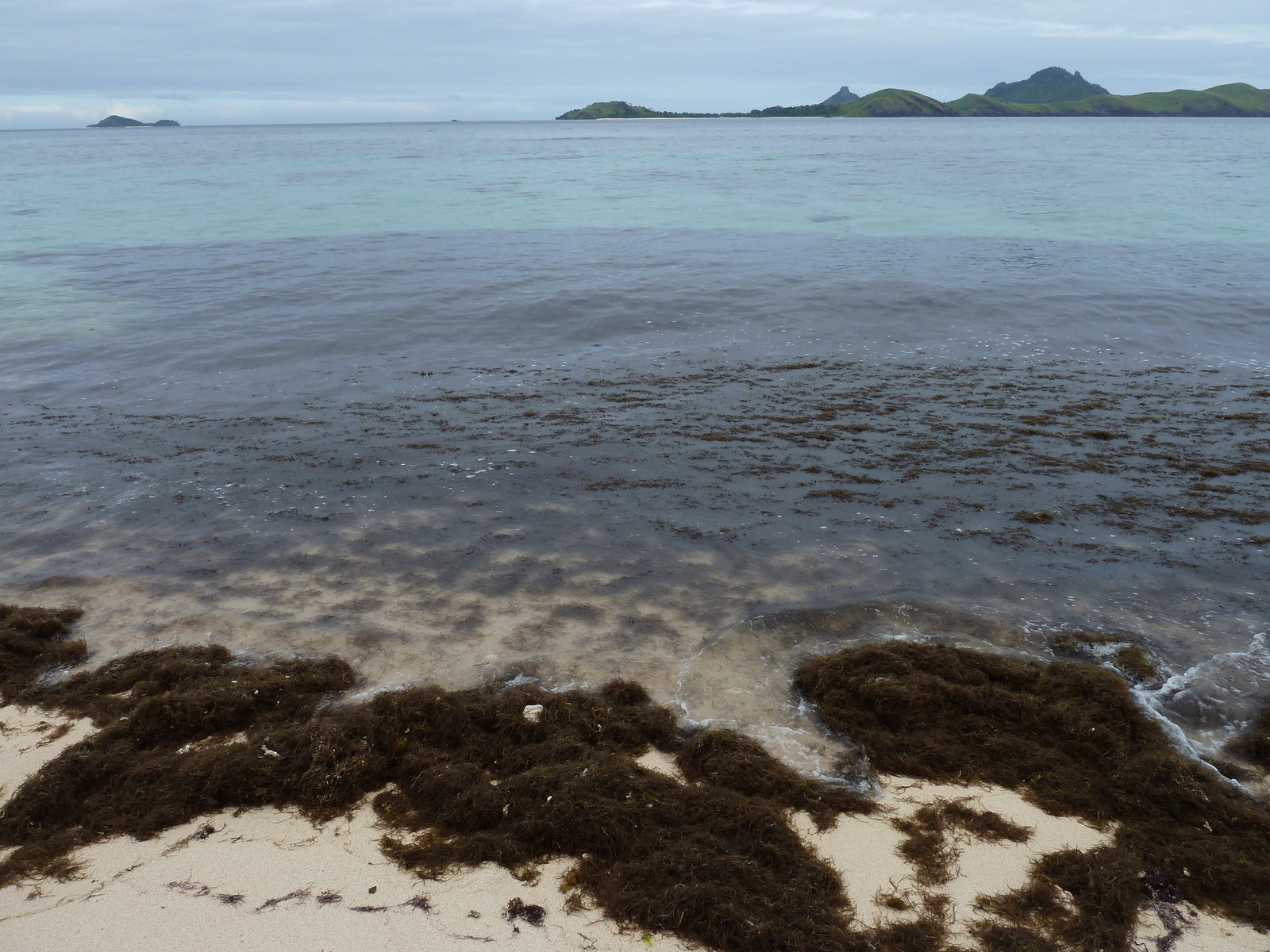 รูปถ่าย ฟิจิ(Fiji) รีสอร์ตเกาะอามูนูกา(Amunuca Island Resort) 2010-05 103