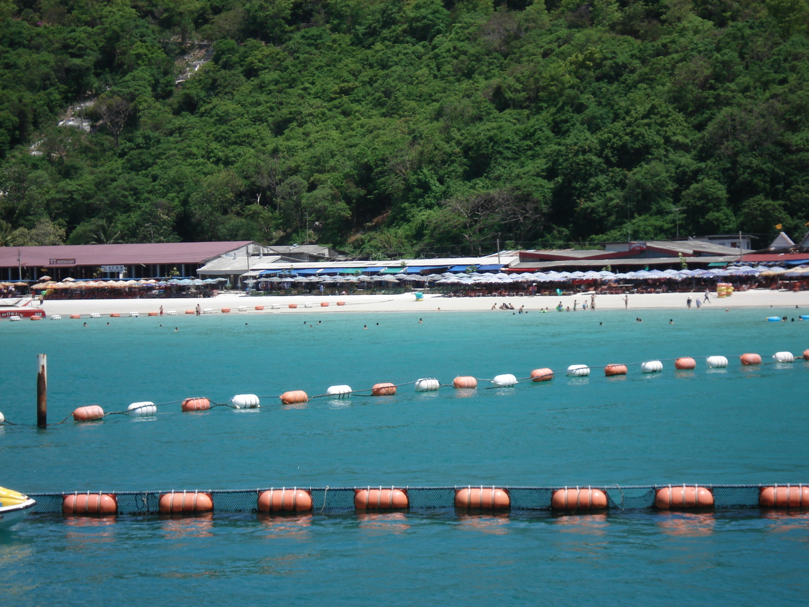 รูปถ่าย ไทย(Thailand) พัทยา(Pattaya) เกาะล้าน(Ko Larn) 2006-04 101