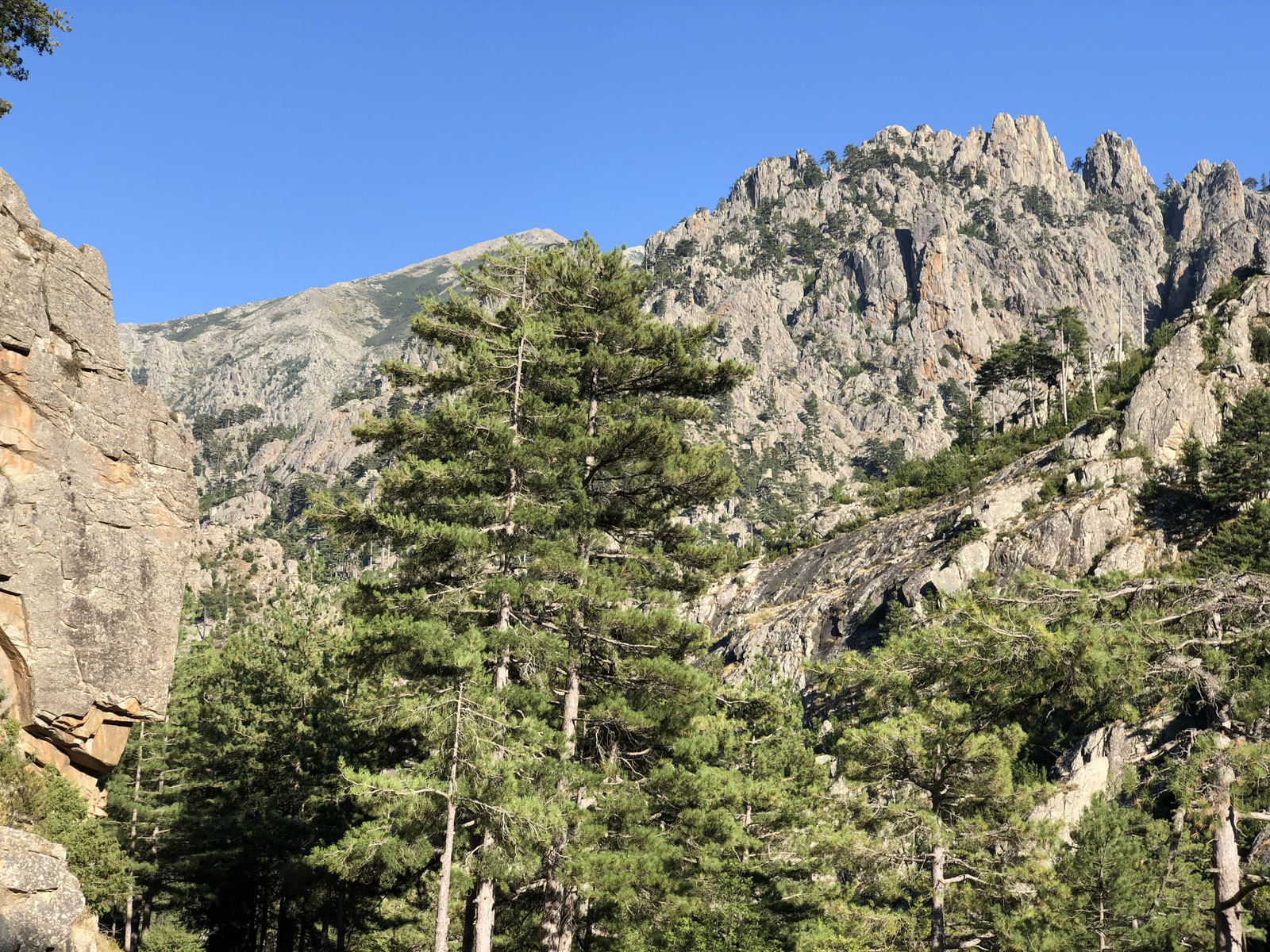 รูปถ่าย ฝรั่งเศส(France) คอร์สิคา(Corsica) หุบเขาลาเรสโตนีกา(La Restonica) 2020-07 134